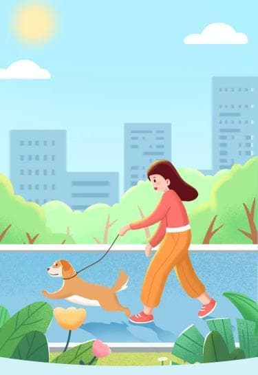 创建文明城市：养“文明犬”，做“文明养犬人”