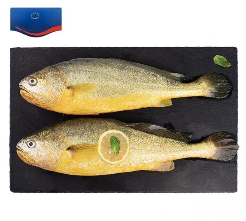 黄花鱼选购指南：四大品牌产品对比评测
