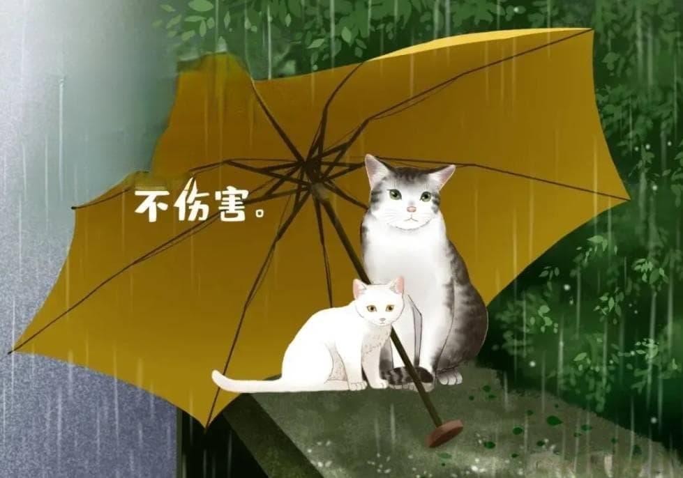 处罚过重？江西师范大学虐猫学生被开除学籍，还查出其他违法行为