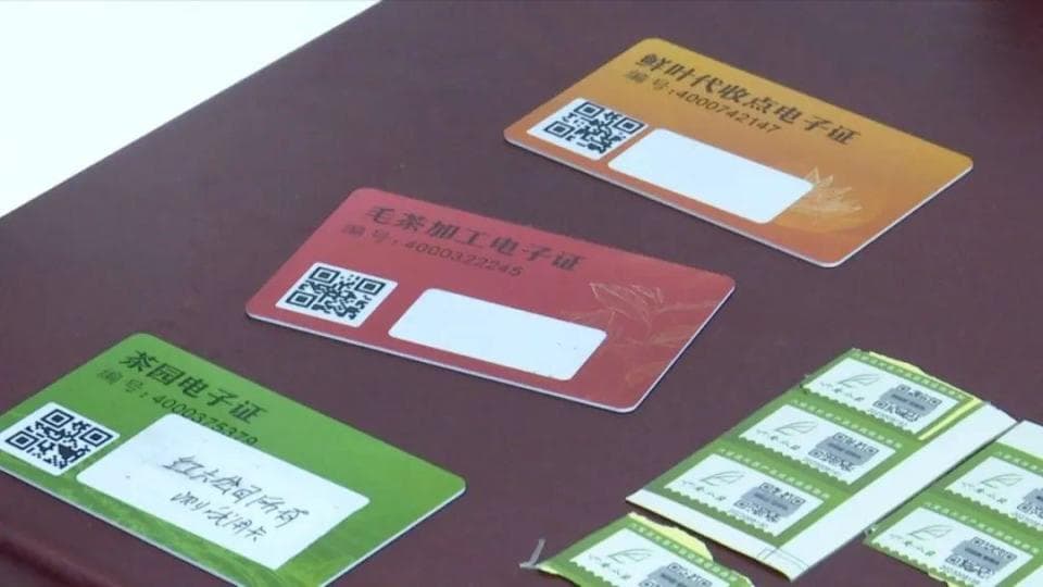 六安瓜片的“新质生产力”：产业互联网平台助力智慧农业升级