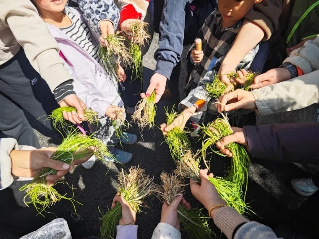 挖野菜安全指南：这些有毒野菜千万别碰