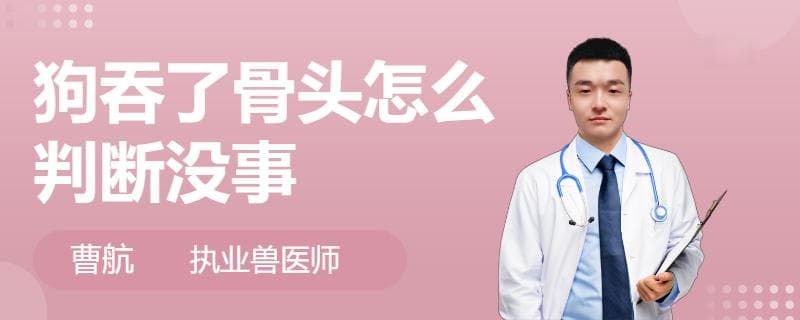 狗吞了骨头怎么判断没事