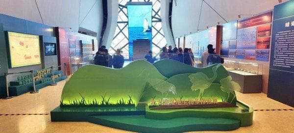 《与鸟为邻·大美湿地——北大港湿地生物多样性展》持续受热捧