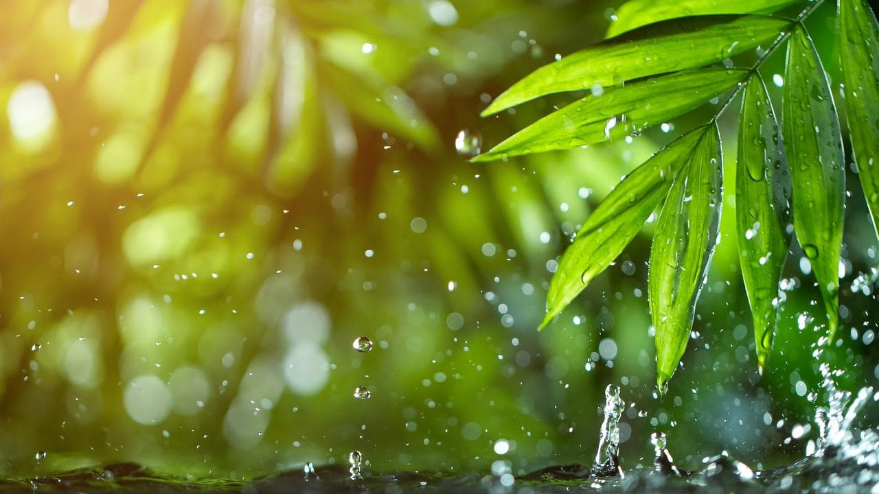 北方人近期状态：没去南方，却能感到南方的“湿热”……