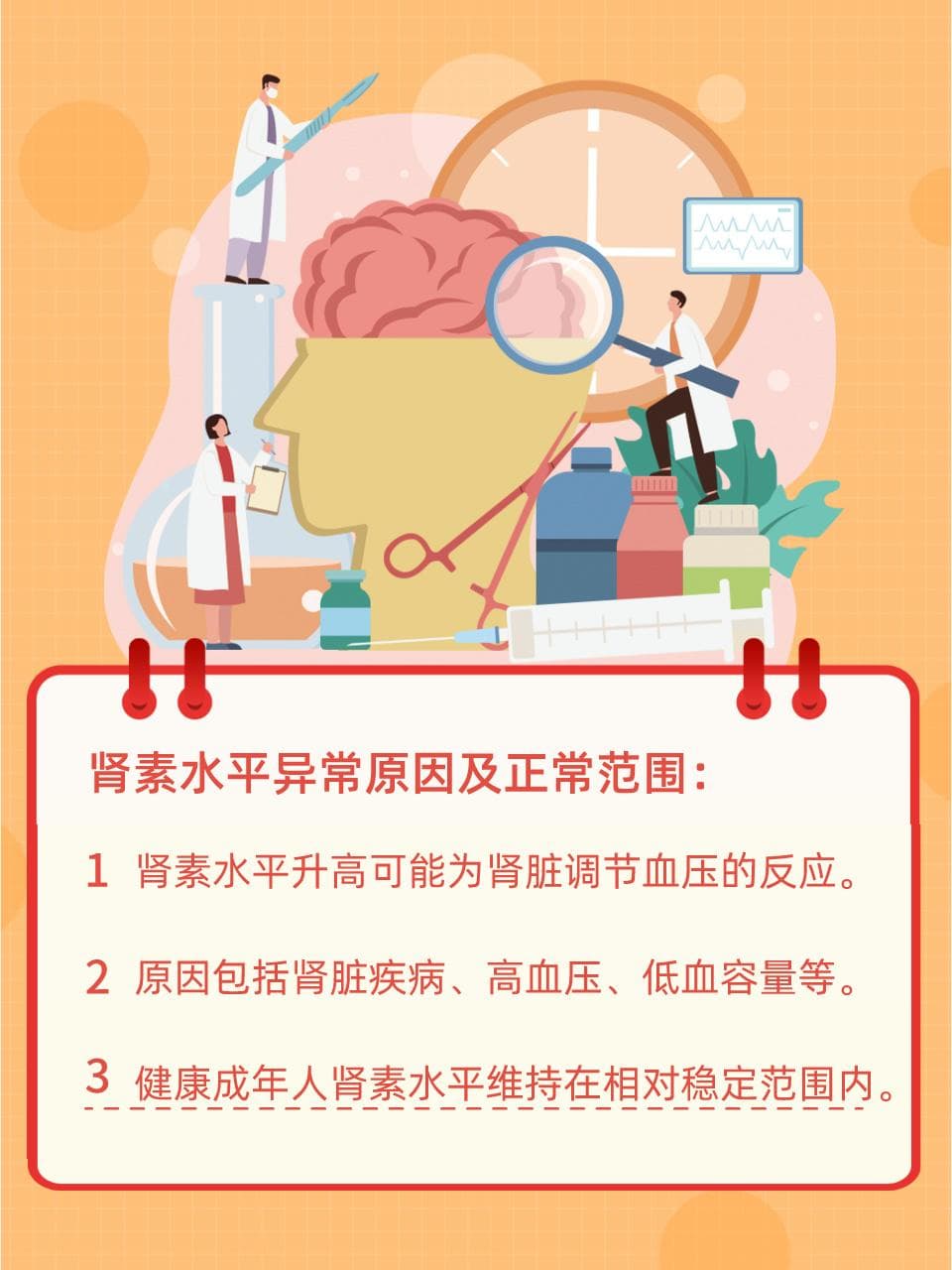 肾素：正常值、原因与治疗的深度解析