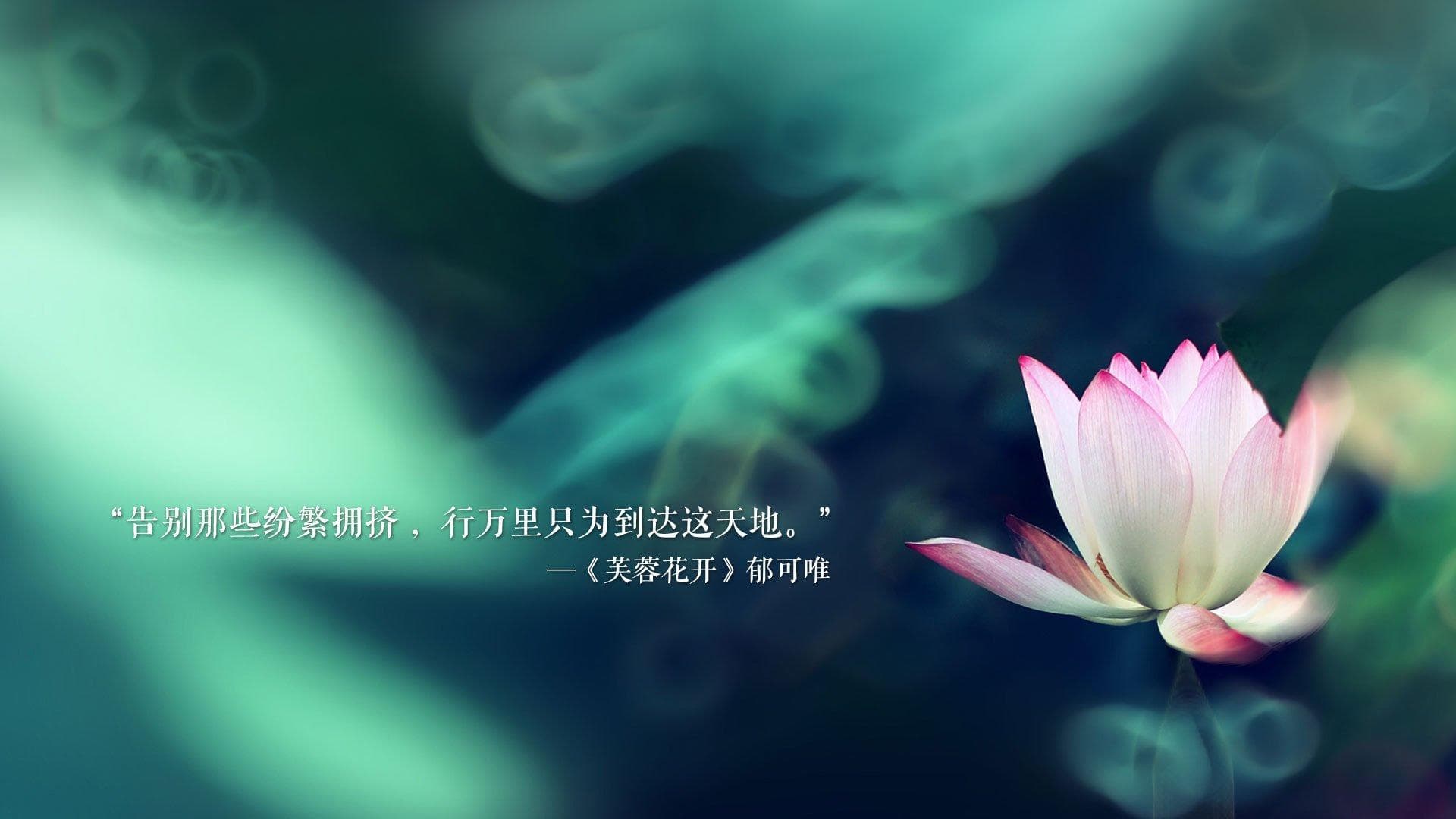 女性职场应对饭局邀请的婉拒策略与方法