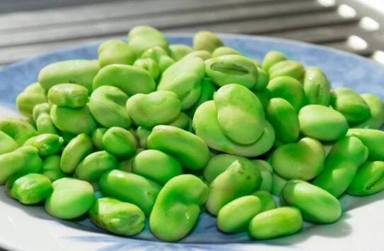 吃蚕豆对身体的好处
