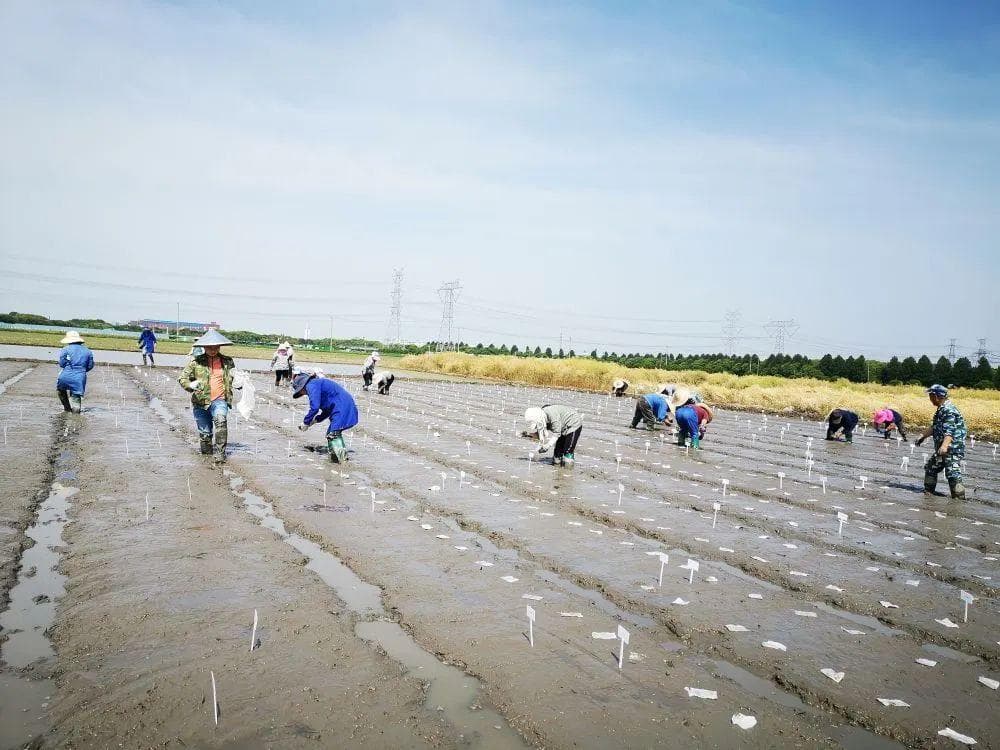 上海探索解开绑住科技人才的“细绳子”｜科技人才评价改革