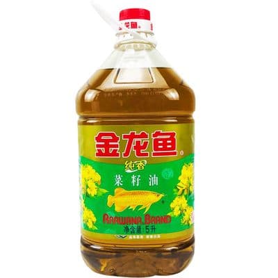 银龙鱼缸选错尺寸，后果竟然这么严重！你家的鱼缸够大吗？