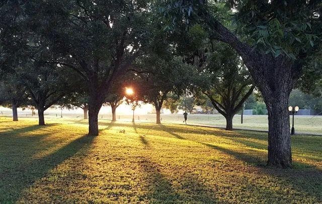 慢到不可思议！一公里8分钟，这样的跑步能减肥吗？