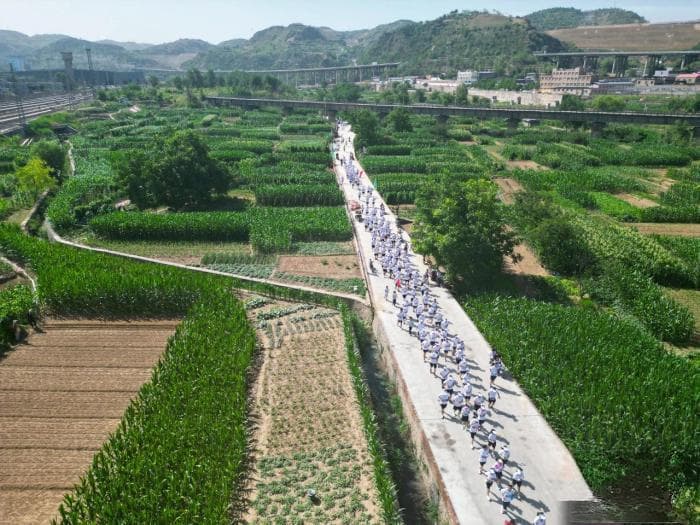 山西柳林：拨动金“蒜”盘 “蔬”通致富路