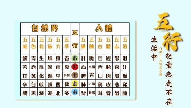 五行体质：揭秘你的身体密码