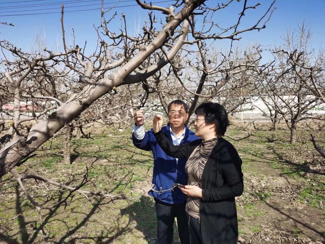 向下扎根！气象部门第二批青年专家启程，基层迎来“新鲜血液”！