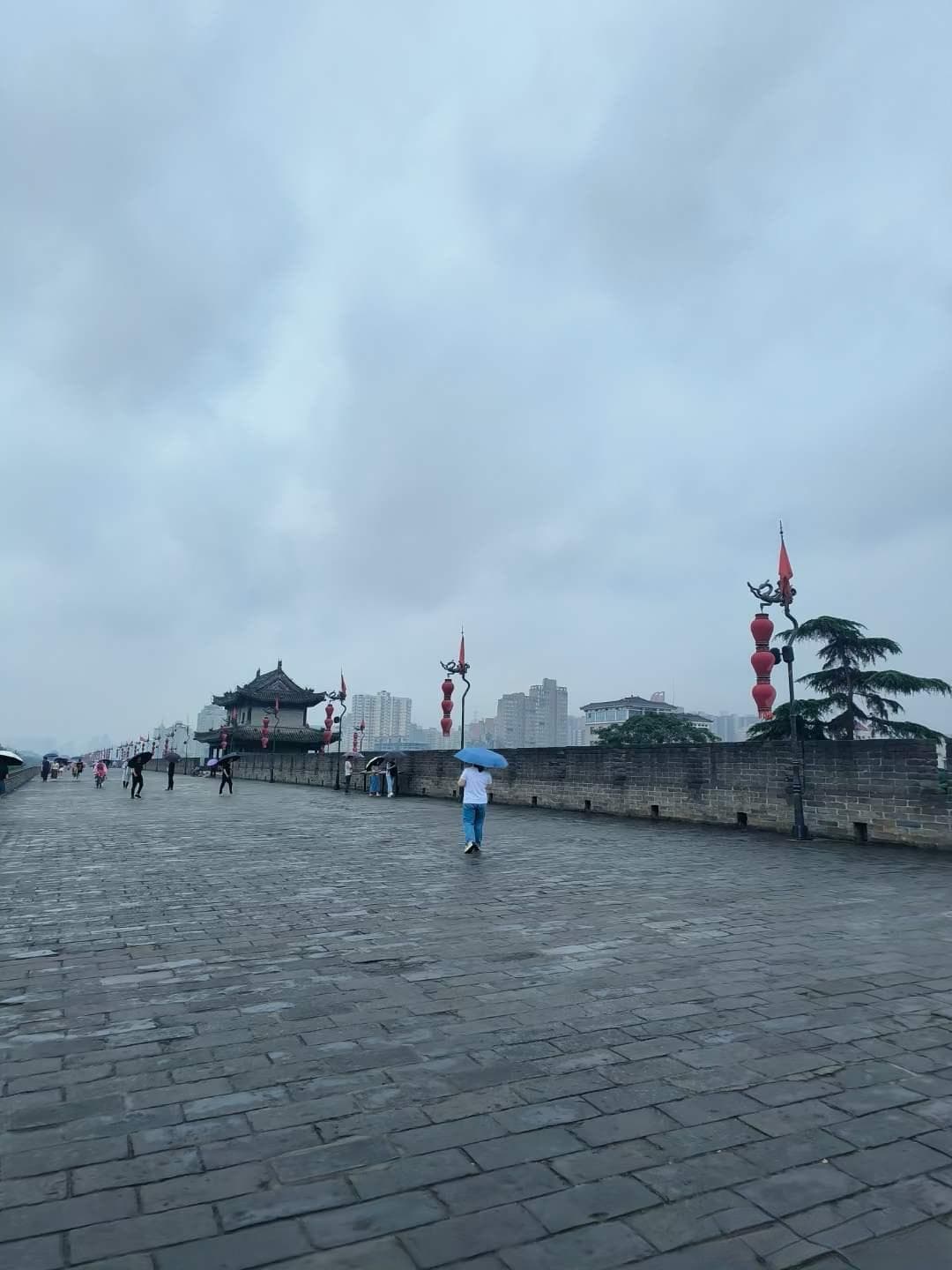 三月西安：六大景区花开正盛，四处景点推出节日优惠