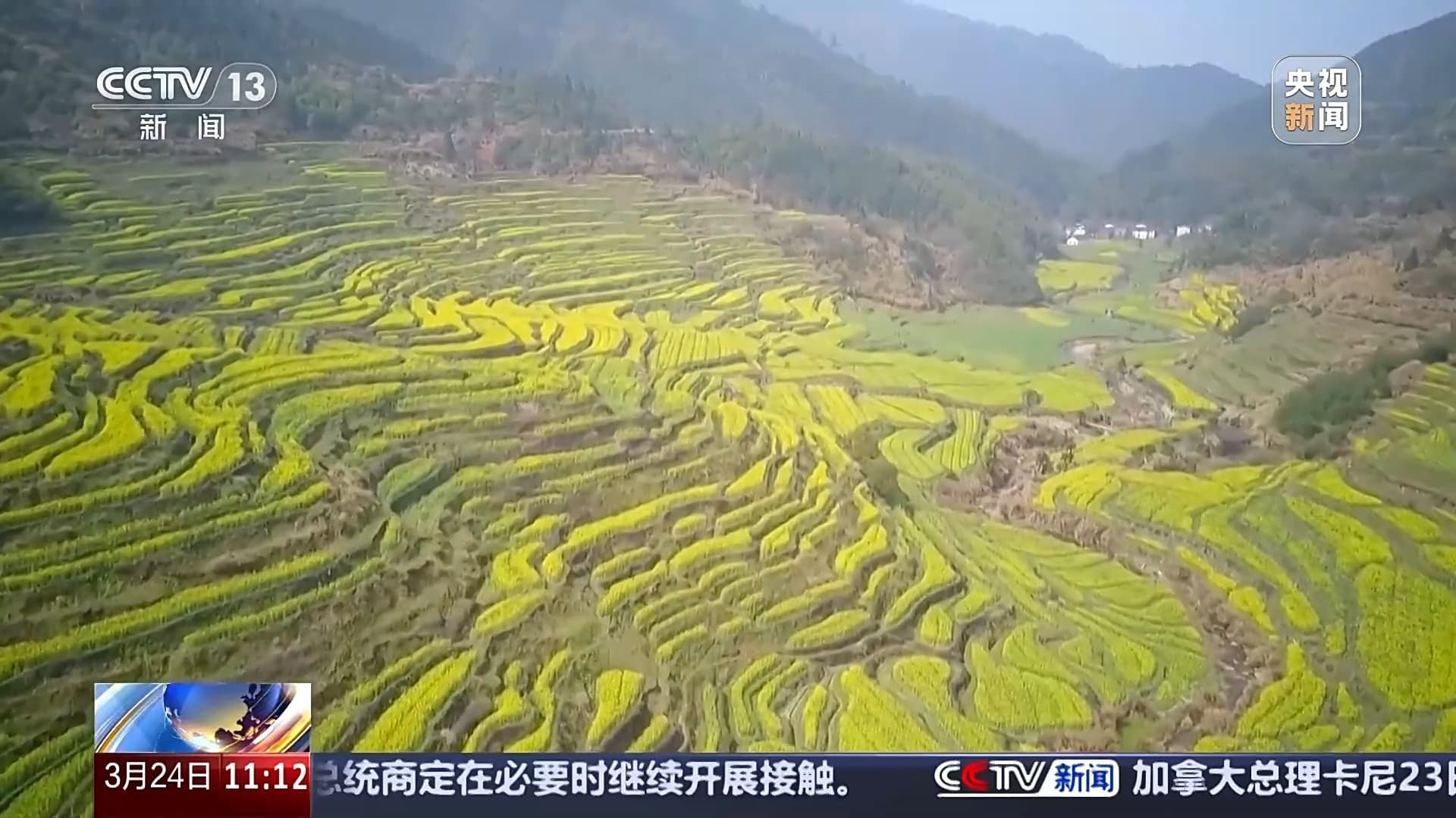 清明假期短途游升温 “踏青赏花”成热搜关键词