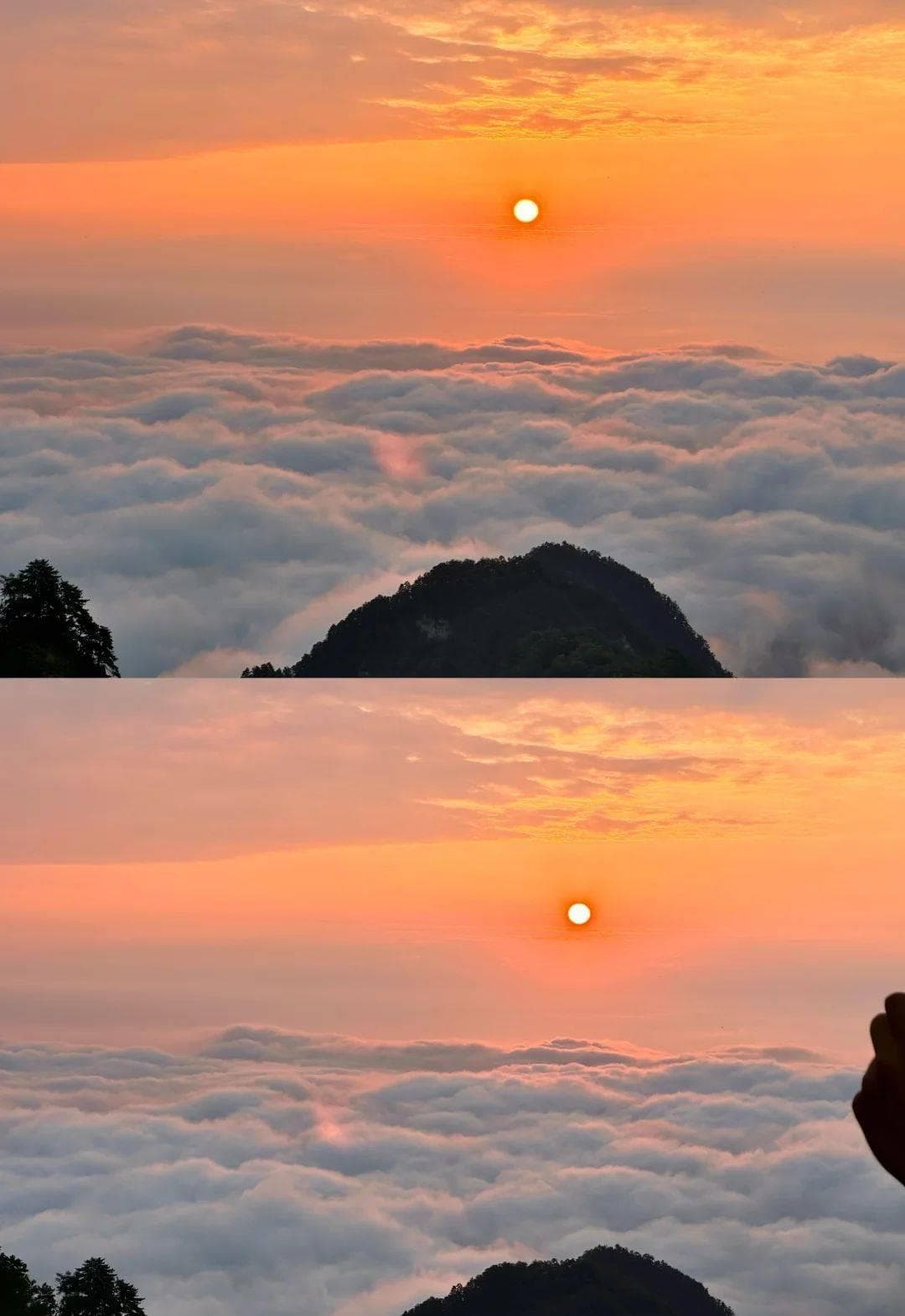 探秘湖北武当山：自然与人文的完美融合