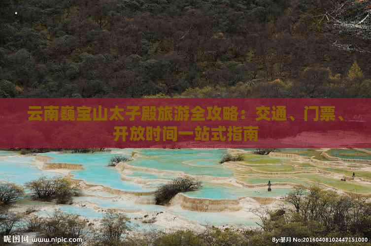 云南巍宝山太子殿旅游全攻略：交通、门票、开放时间一站式指南