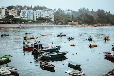 深度解析：香港专才计划的申请攻略、职业发展前景与生活融入指南