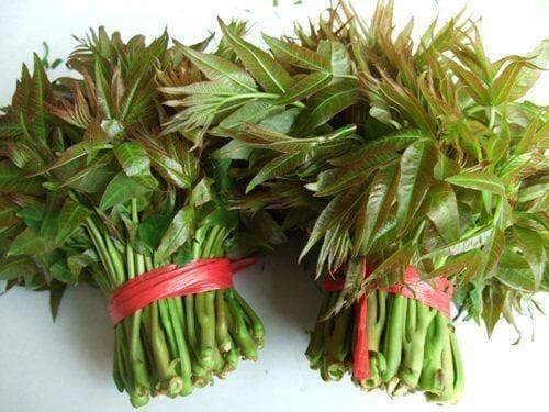 香椿芽焯水好还是不焯水好？一文读懂其中奥秘