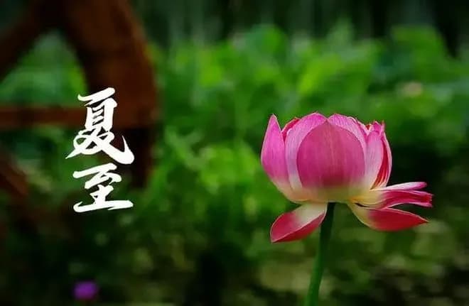 夏至在中国传统农业中的重要意义。