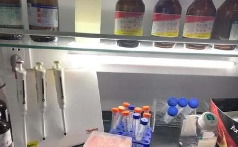 《微生物的实验室培养》教案分析