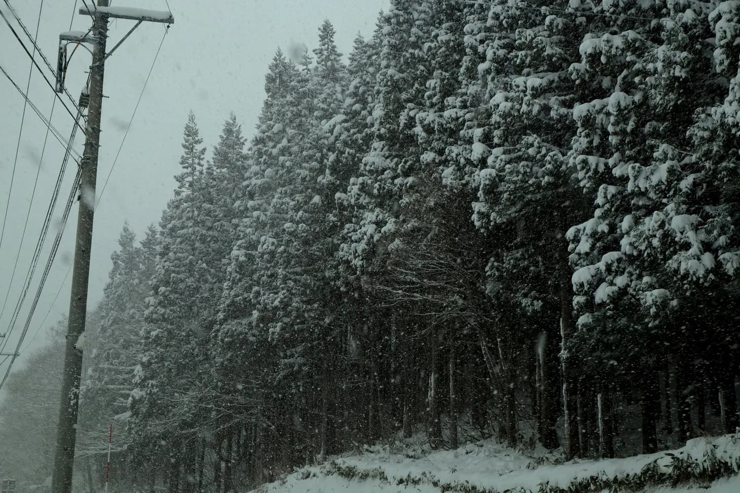 小雪节气，济南市南山降雪概率揭秘