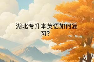 湖北专升本英语如何复习？