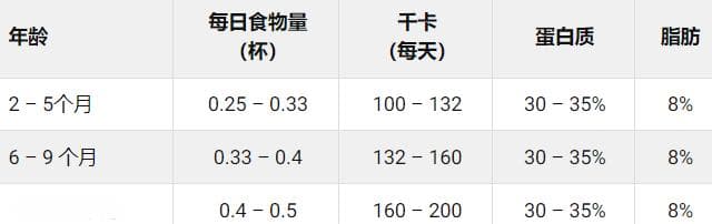 约克夏犬各阶段喂食标准：从幼犬到老年的科学喂养指南