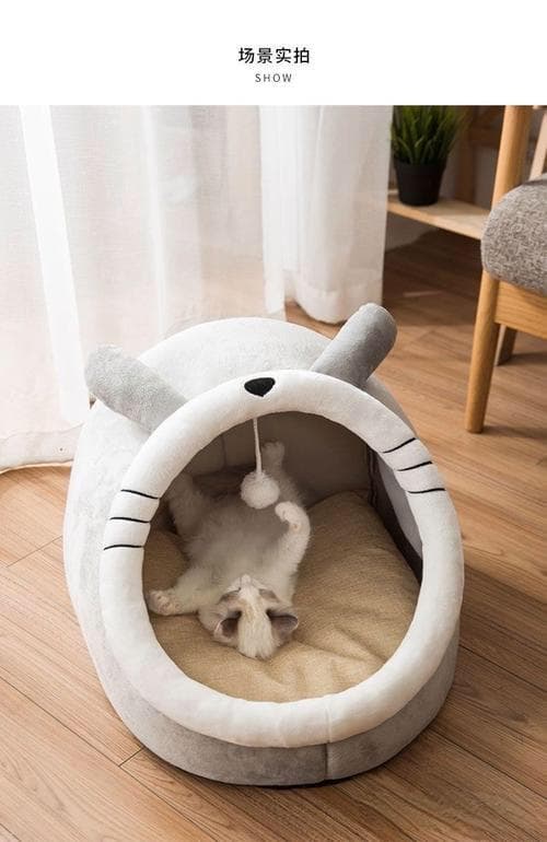 猫咪的温馨小天地！揭秘舒适猫窝选购秘籍