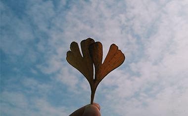 赡养老人如何保留证据
