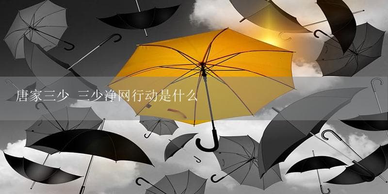 唐家三少：中国网络文学的代表人物