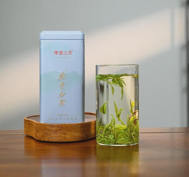 2025各地名优绿茶上市时间，你心仪的还要等多久？