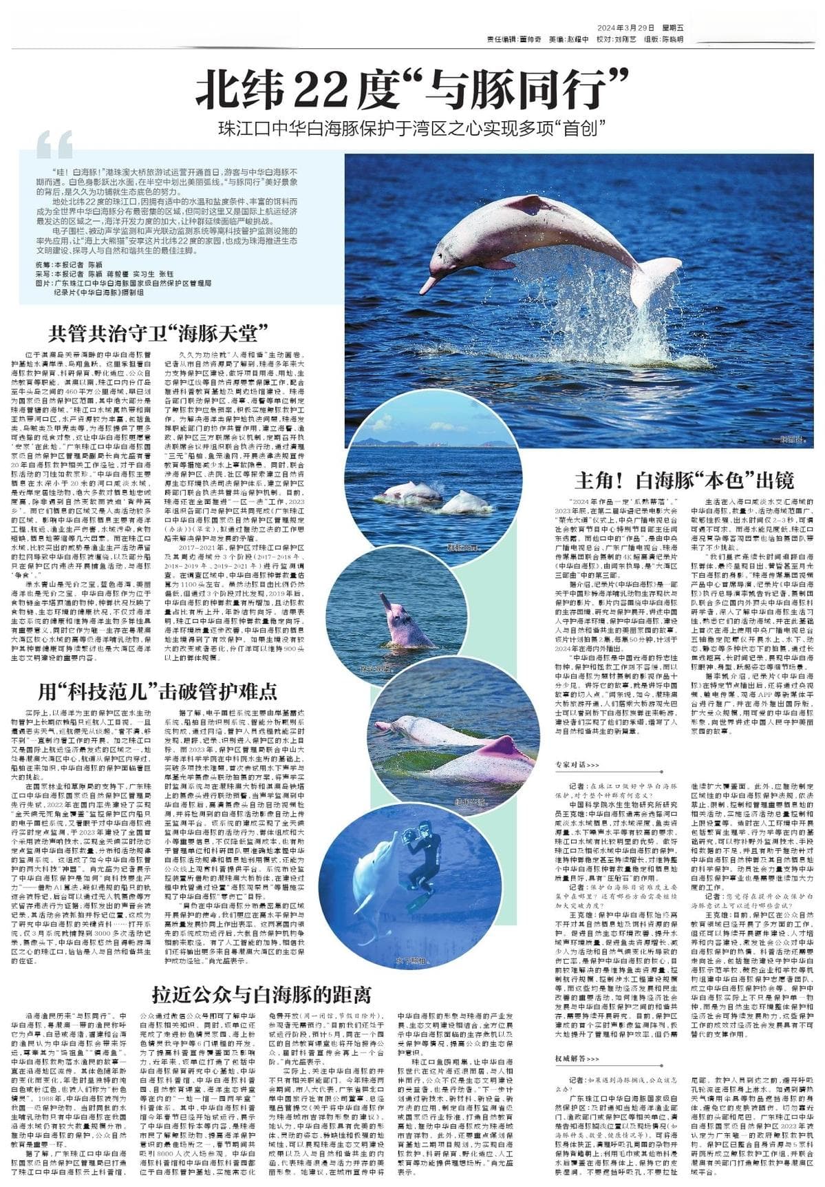 广东珠江口：用科技守护全球最大白海豚栖息地