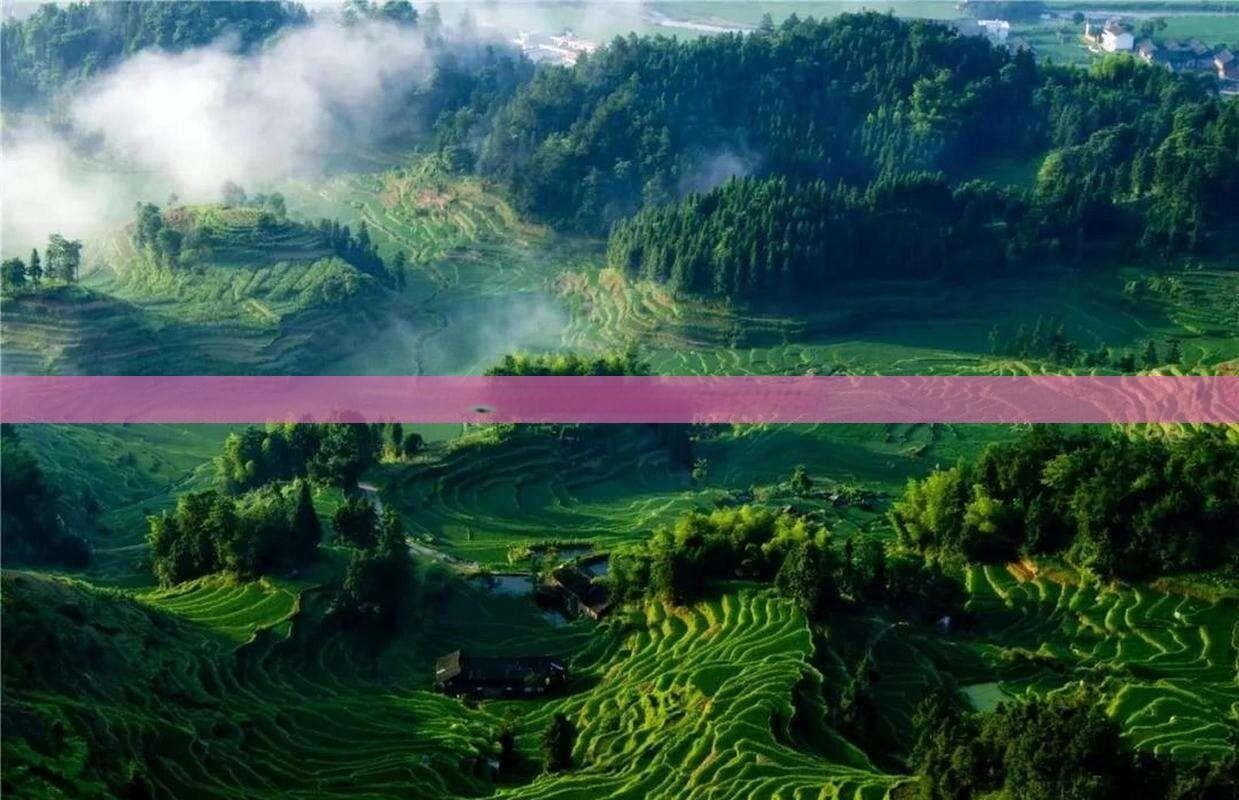 新疆玉树藏族自治州：探秘自然奇观与藏族文化瑰宝