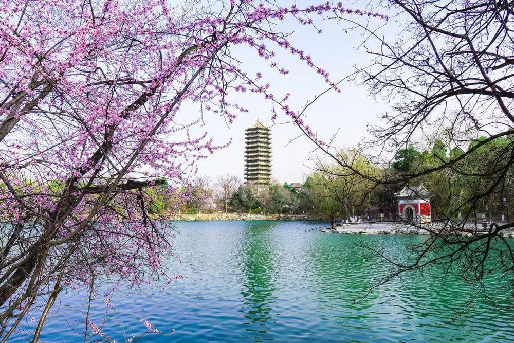 北京大学2025硕士线出炉！大数据提高50分，其他专业大多下降