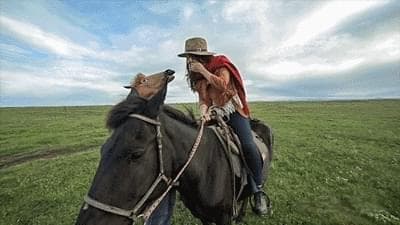 甘南旅游景点大全——探索天赐的自然与人文奇迹