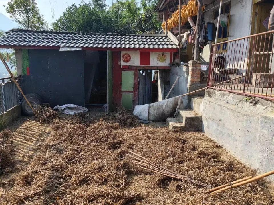 四川北川一黑熊入户咬人，村民为救妻持斧反击，“打死的黑熊将用于科研”