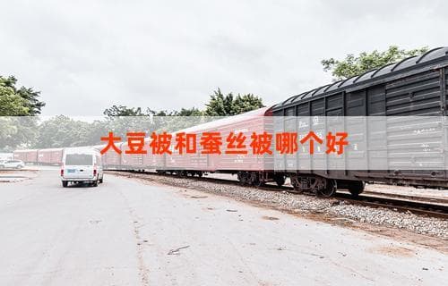 大豆被和蚕丝被哪个好：全面对比分析