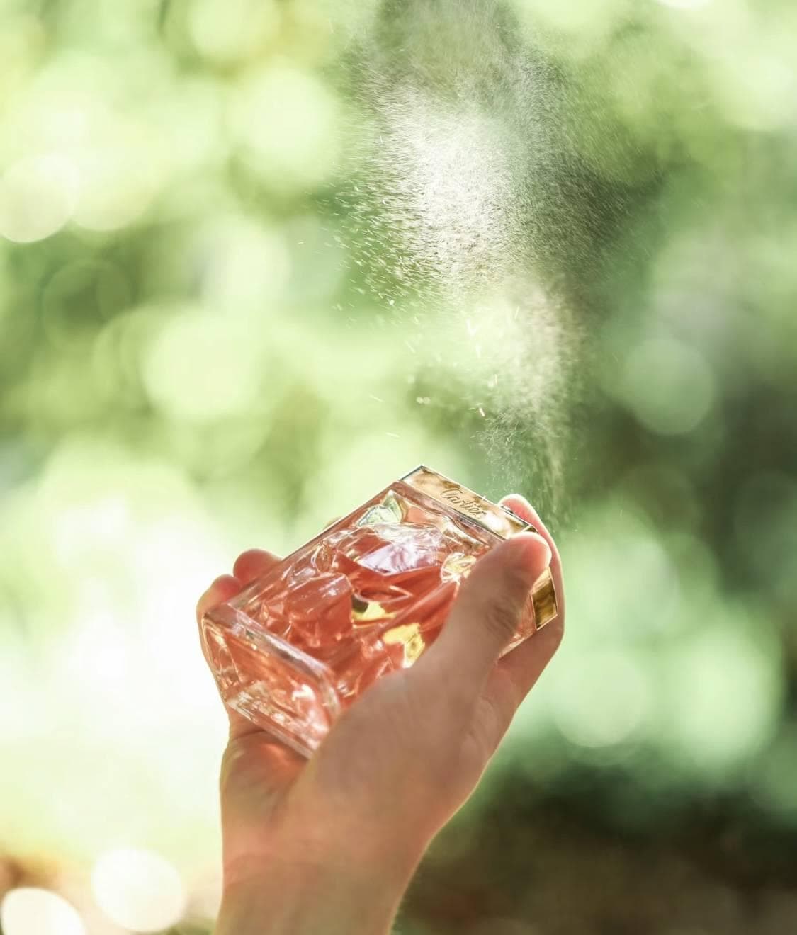 玄学香的现代应用：芳香疗法