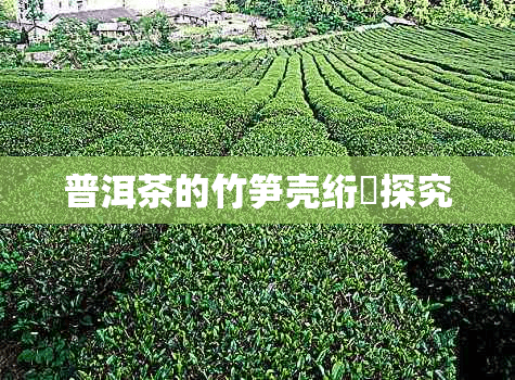 普洱茶的竹笋壳包装：传统与环保的完美结合