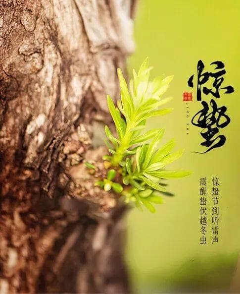 惊蛰节气的易理与寓意：四阳大动，时来运转