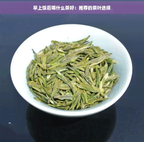 早上饭后喝什么茶好：三种茶叶的养生功效与选择指南