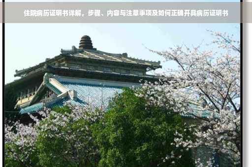 住院病历证明书详解：步骤、内容与注意事项