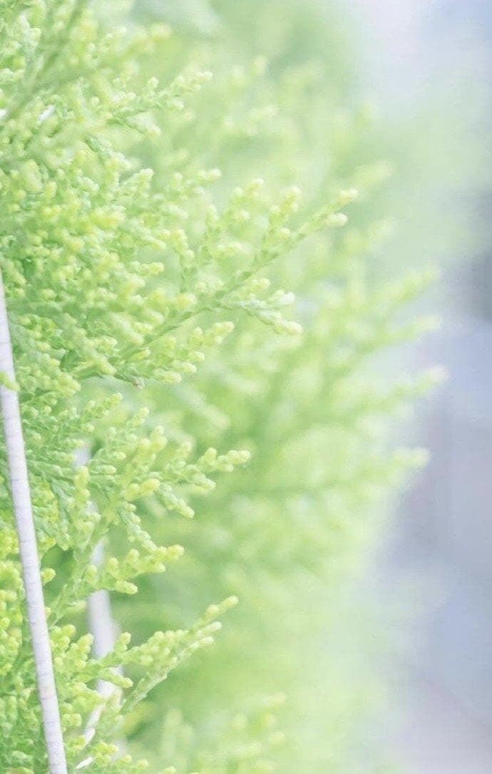 聚餐礼仪：如何优雅地享受美食时光