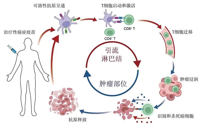 治疗性疫苗——疾病治疗的新武器
