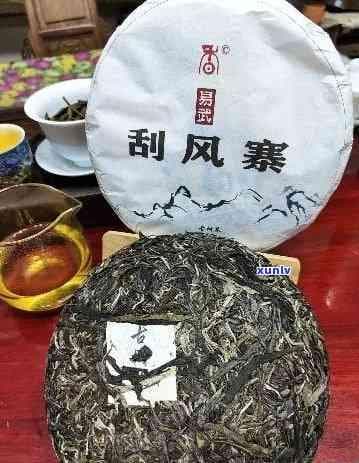 生茶刮风寨的价格、品质以及购买地点全方位指南