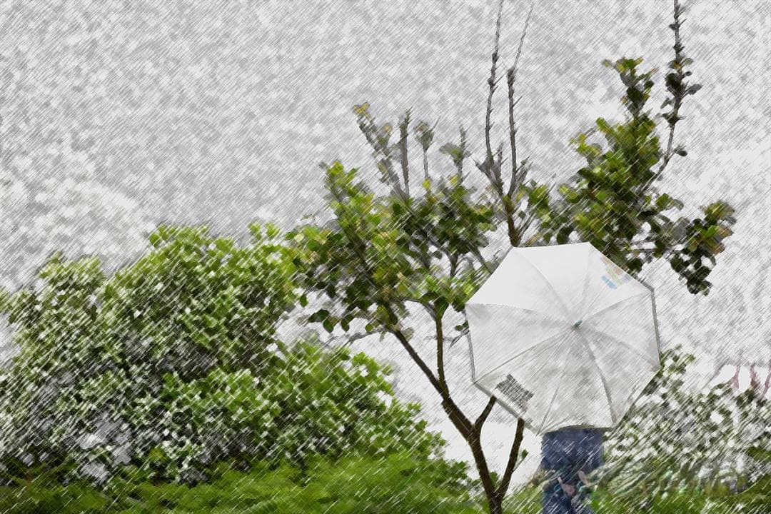 Ps 滤镜：彩色铅笔