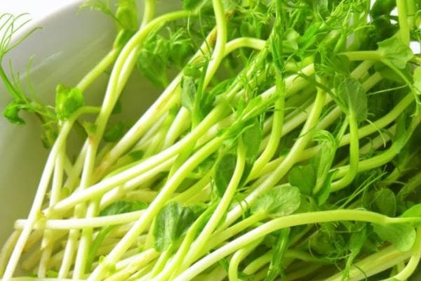 2024热量低的食物排行榜：十大低卡食材推荐
