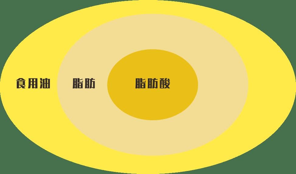 一张图，搞懂脂肪酸，为了健康看看吧