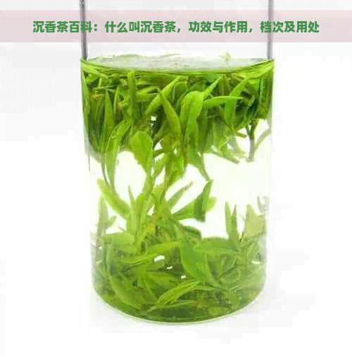 沉香茶百科：什么叫沉香茶，功效与作用，档次及用处